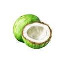 Coconut